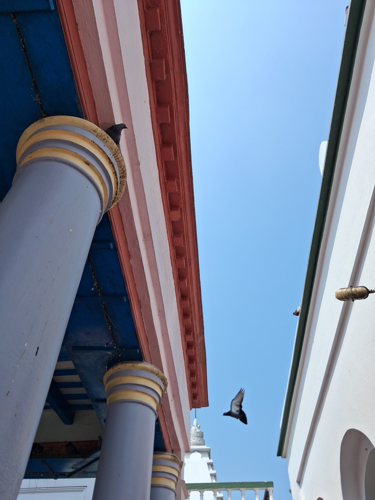 Colorful columns and a bird flying across the sky between buildings in Shantipur.